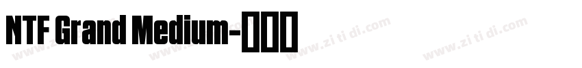 NTF Grand Medium字体转换